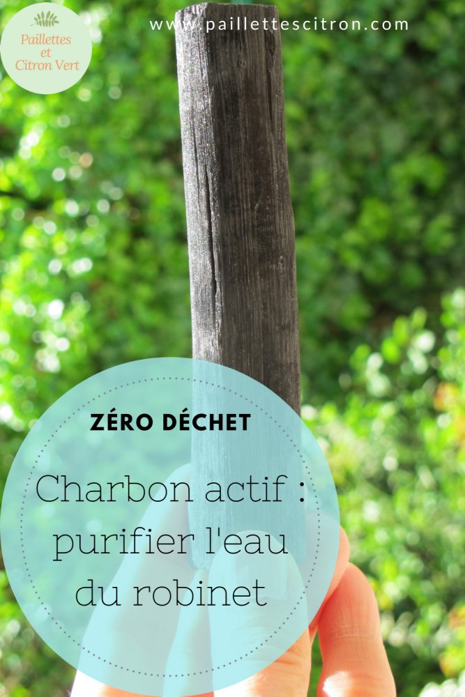 Purifier l'eau du robinet avec du charbon actif - Paillettes et citron vert